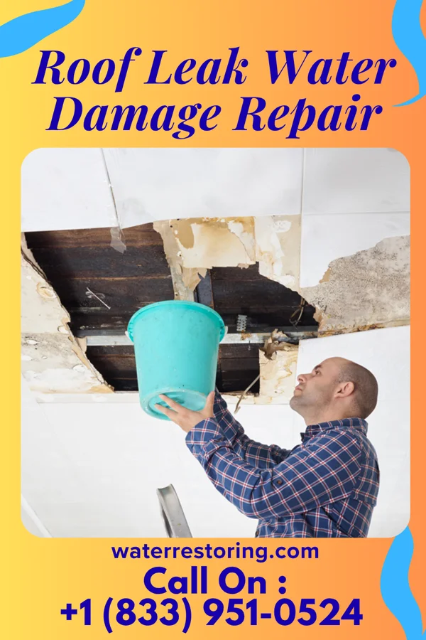 Roof Leak Water Damage Repair in Oneida, IL