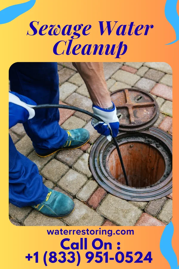 Sewage Water Cleanup in Oneida, IL